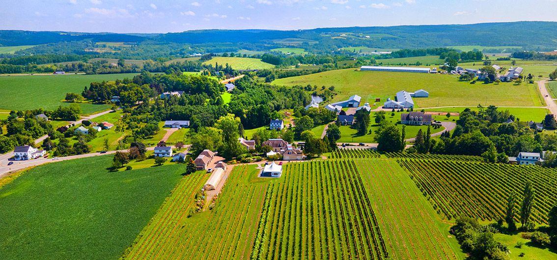 Rural Nova Scotia home where internet and cell service can be important considerations