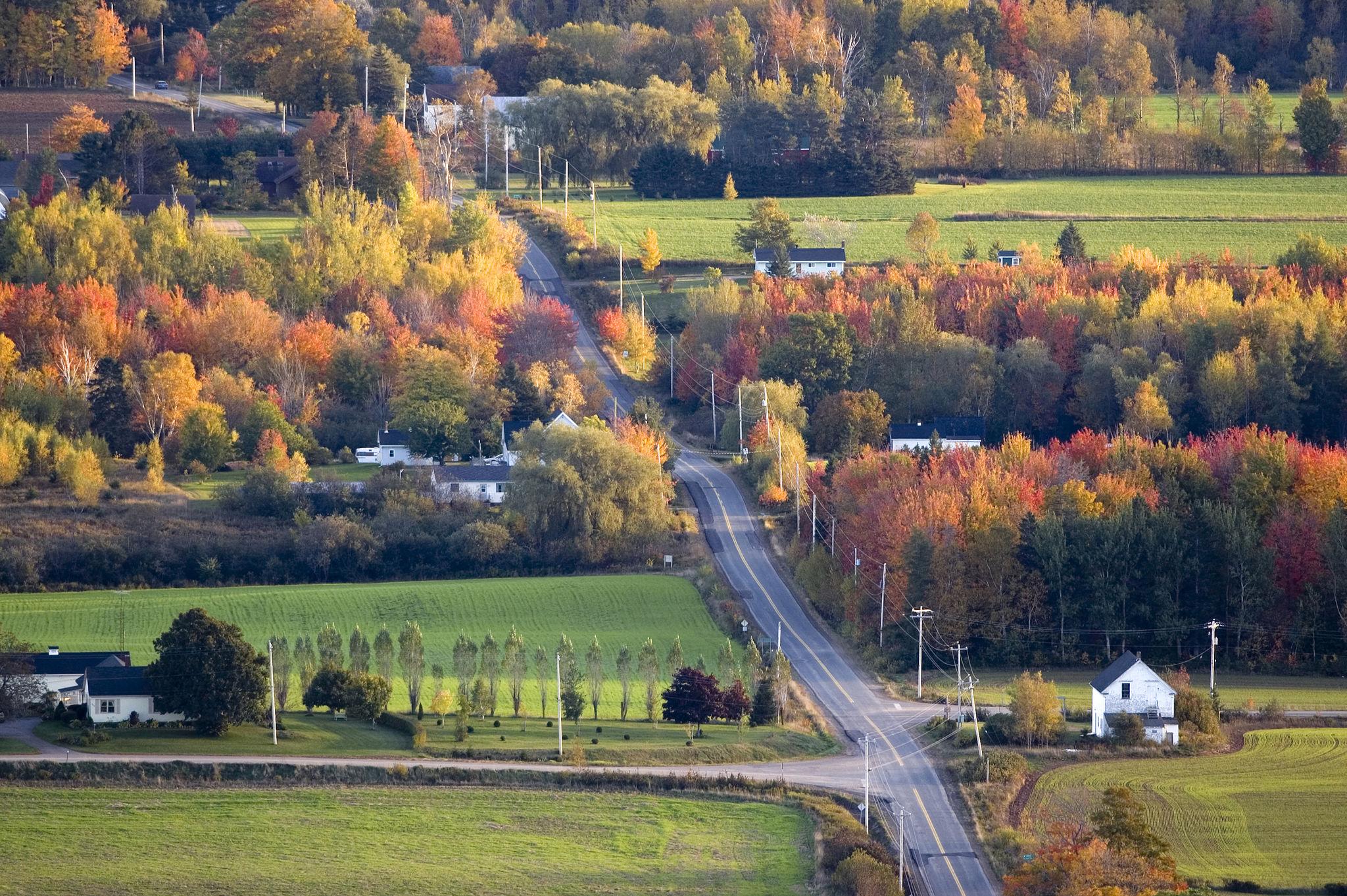Rural Nova Scotia homes where internet and cell service can vary by address